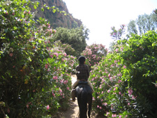 Morocco-Morocco-Atlas Mountains Ride